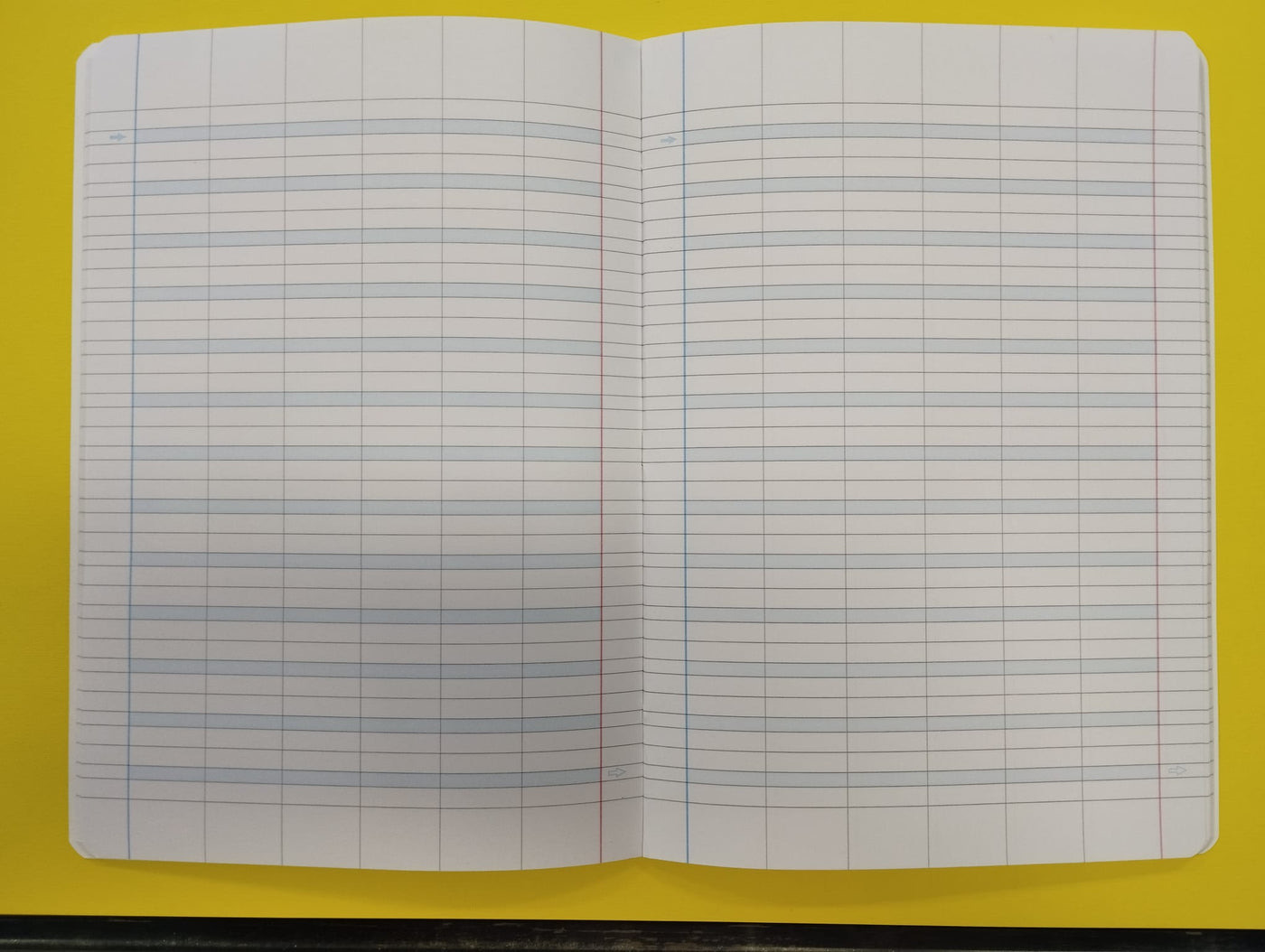 Quaderno aperto con la rigatura speciale per DSA